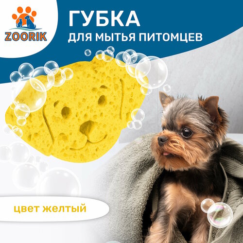 Губка для мытья животных / ZOORIK / Зурик / 