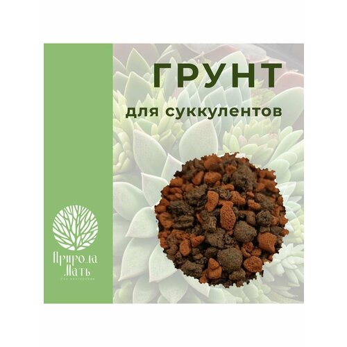 Грунт для суккулентов и кактусов 0,5л. фотография