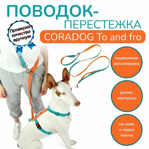 Поводок-перестежка с ручкой контролем и подвижным кольцом, hands free - свободные руки, CORADOG To and fro, длина 2,5 м, для маленьких пород собак, цвет бирюзовый, оранжевый фотография