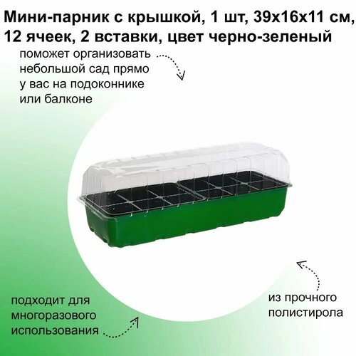 Мини-парник с крышкой 39х16х11 см, 12 ячеек, 2 вставки, цвет черно-зеленый. Емкость предназначена для выращивания рассады. фотография