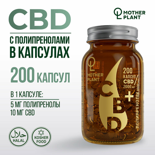 Масло CBD с полипренолами в капсулах (200 капсул по 10 мг), Motherplant фотография