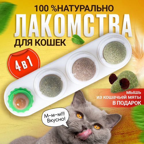 Леденец с кошачьей мятой, шарик лакомство для кошек 3 шт + конфета + мышка из кошачьей мяты . Цвет белый фотография