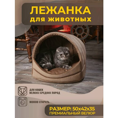 фотография Домик Лежанка для Кошки, Кота, Лежак Кошек, Собак с Подушкой, купить за 1690 р