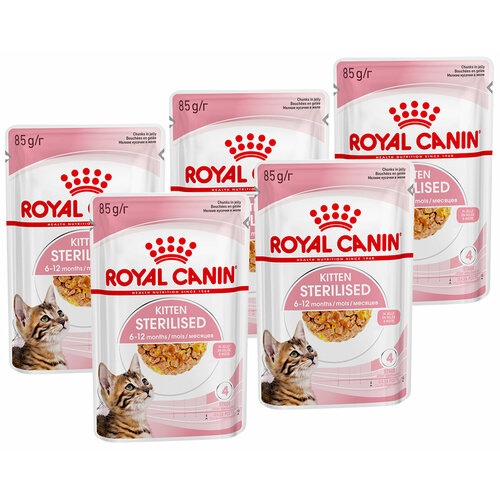 ROYAL CANIN KITTEN STERILISED для кастрированных и стерилизованных котят в желе пауч 85 гр 85 гр х 5 шт фотография