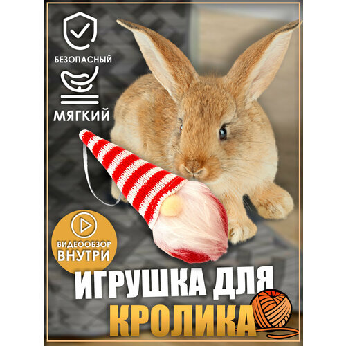 Игрушка для кролика, гном, игрушки для грызунов, игрушки для животных фотография