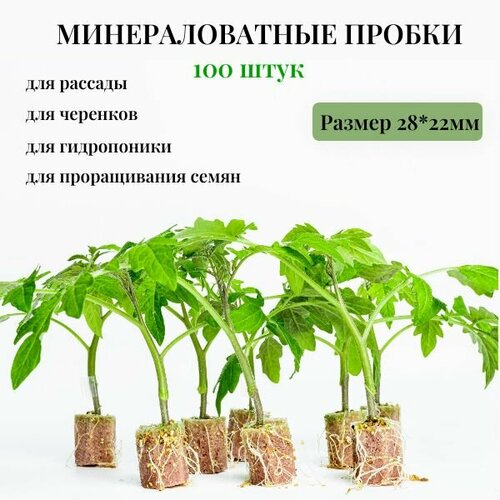 Минераловатные пробки 100шт 22*28мм из агроваты для выращивания рассады, укоренения черенков, проращивания семян , гидропоники. фотография