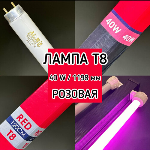 Лампа Т8 40W (1200 мм) BIO LUX розовая / фито лампа для живых растений, яркости аквариума, люминесцентная фотография