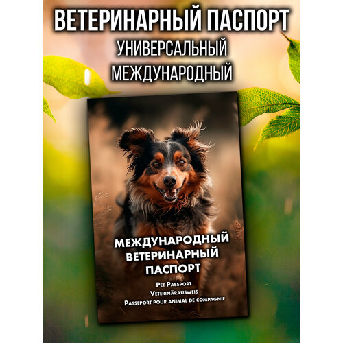 Ветеринарный паспорт для кошек и собак международный фотография