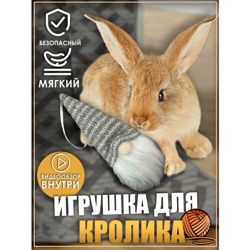 Игрушка для кролика, игрушки для грызунов, игрушки для животных фотография