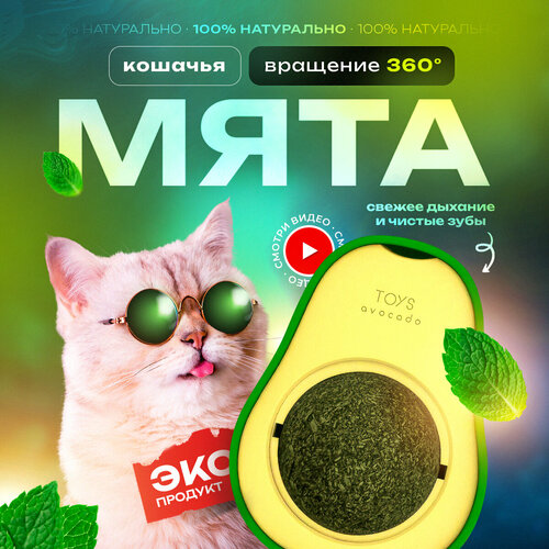 Кошачья мята, Лакомство для кошек, Игрушка для котят, Леденец для котов с витаминами фотография