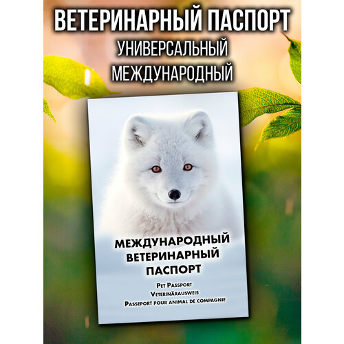 Ветеринарный паспорт для кошек и собак международный фотография