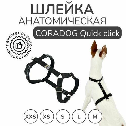 Шлейка прогулочная анатомическая для мелких пород собак и кошек, CORADOG Quick click, размер XXS, цвет черный фотография