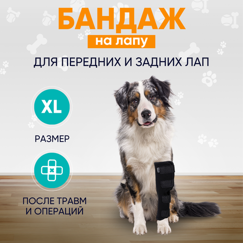 Бандаж ветеринарный на лапу для собак Mr Dog черный XL фотография