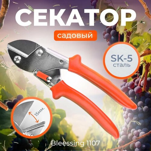 Секатор садовый Blessing 1107 фотография