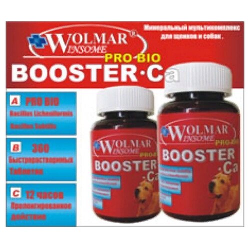 Витамины Wolmar Winsome Pro Bio Booster Ca для щенков средних и крупных пород , 360 таб. фотография