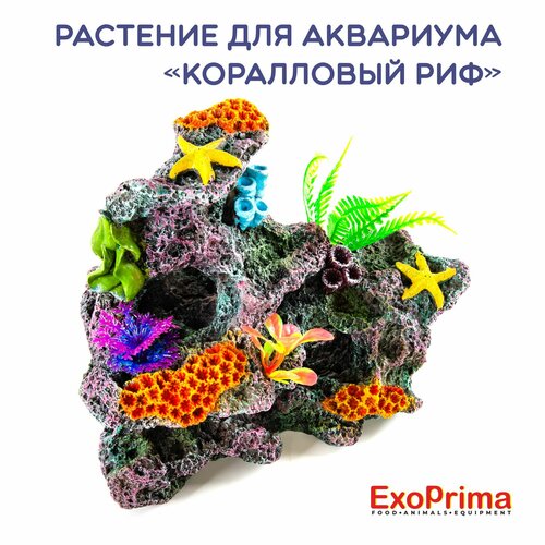 фотография EXOPRIMA Декорация для аквариума 