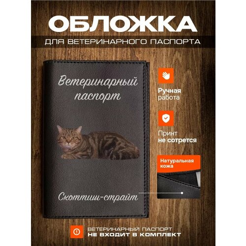 Обложка на ветеринарный паспорт для кошек с принтом Скоттиш-страйт фотография