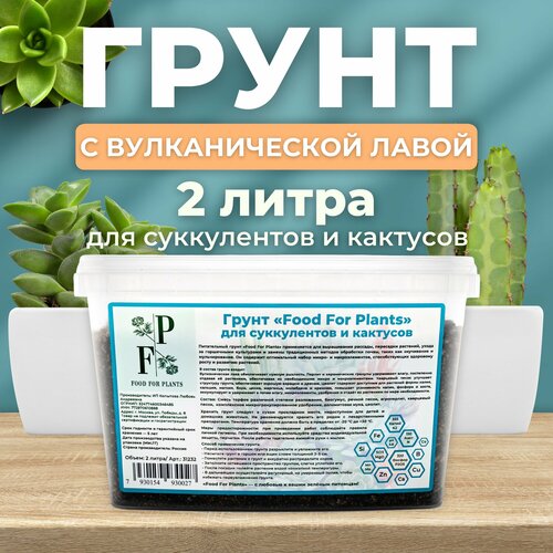 Субстрат для комнатных растений. Грунт для суккулентов и кактусов фотография