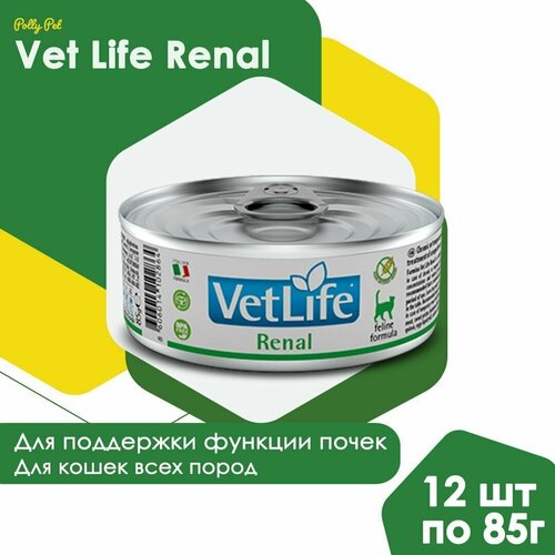 Влажный корм Farmina Vet Life Renal для кошек всех пород при болезни почек и почечной недостаточности, Фармина Вет Лайф лечебный рацион со вкусом курицы, 12шт по 85г фотография