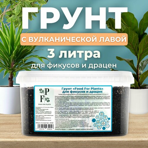 Грунт для фикусов и драцен для выращивания овощных, цветочных, декоративно-лиственных культур, рассады и микрозелени фотография