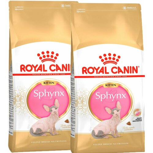 ROYAL CANIN SPHYNX KITTEN для котят сфинксов (2 + 2 кг) фотография