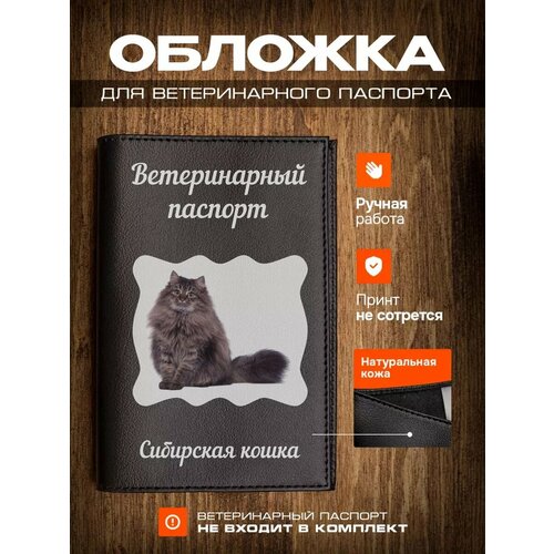 Обложка на ветеринарный паспорт для кошек с принтом Сибирская кошка фотография