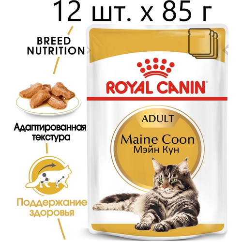 Влажный корм для кошек Royal Canin Maine Coon Adult, для взрослых кошек породы мейн-кун, 12 шт. х 85 г (кусочки в соусе) фотография