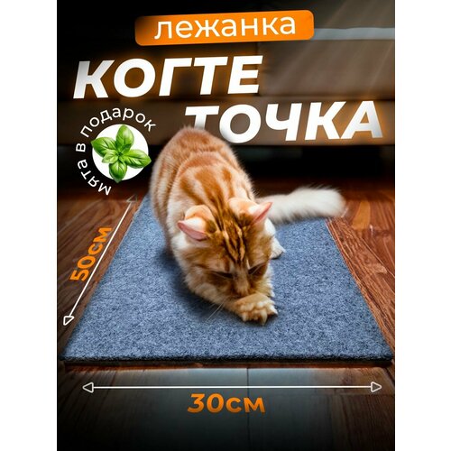 Когтеточка для кошки напольная лежанка с кошачьей мятой, 50х30 см/ серая фотография