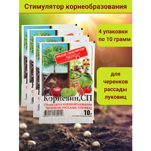 Корневин, стимулятор образования и роста корней, в комплекте 4 упаковки по 10 г. фотография