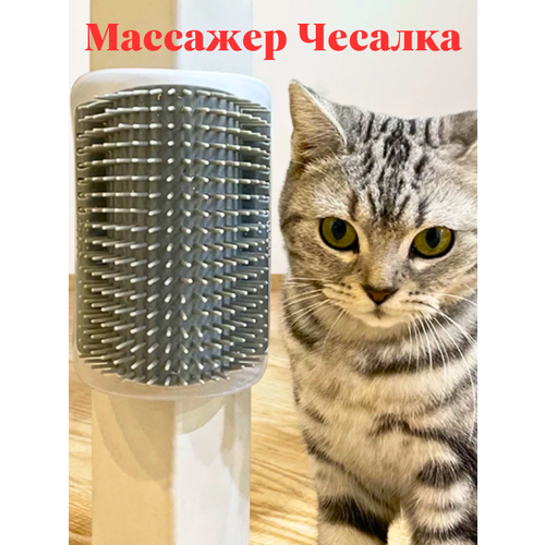 Расческа для кошек с кошачьей мятой чесалка угловая фотография