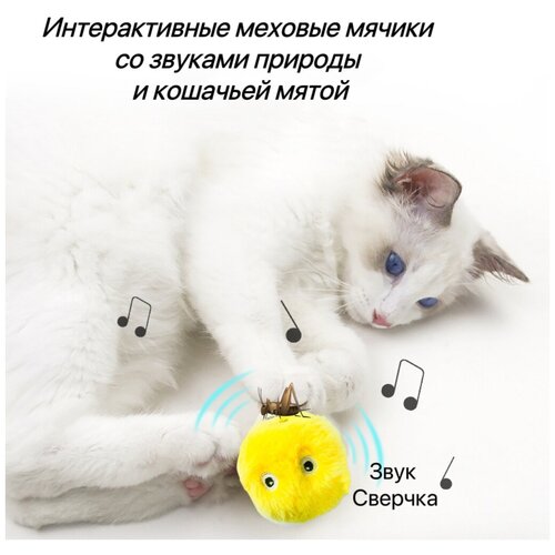 Игрушки для кошек, интерактивный мячик со звуком и кошачьей мяты для кошек фотография