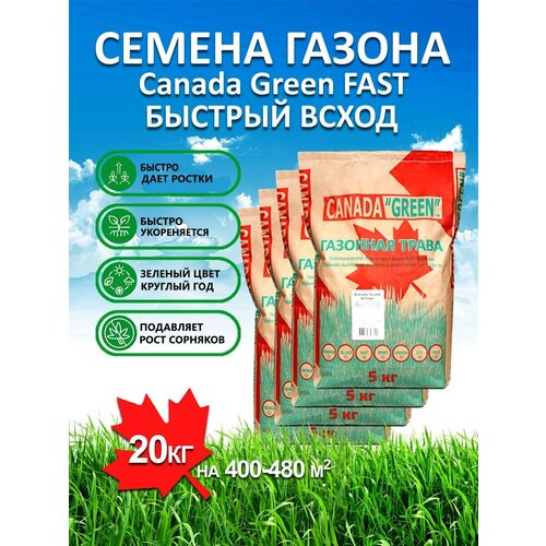 Газонная трава семена Канада Грин Быстрорастущий FAST 20 кг/ мятлик, райграс, овсяница семена для газона фотография