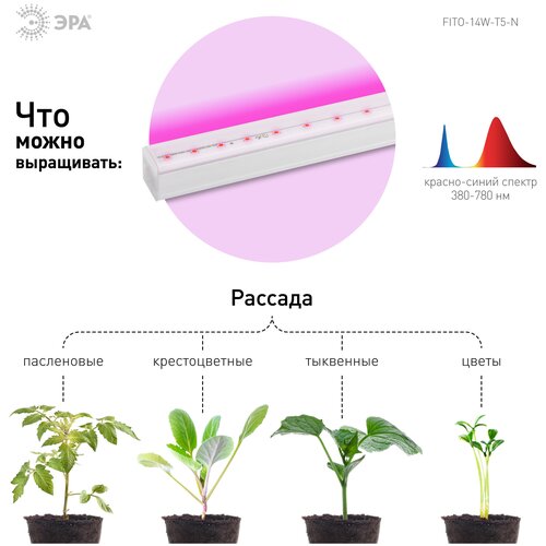 Светильник для растений, фитолампа светодиодная линейная ЭРА FITO-14W-Т5-N красно-синего спектра 14 Вт Т5 фотография