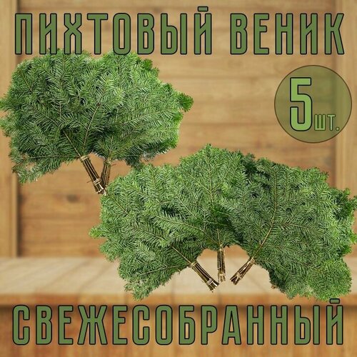 Веник Пихтовый свежесобранный для бани 5шт. фотография