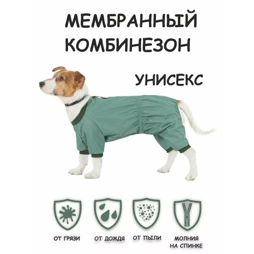 Новинка! Дождевик для собак DOGMODA Мартин (цвет мятный) унисекс р. 3, 28см фотография