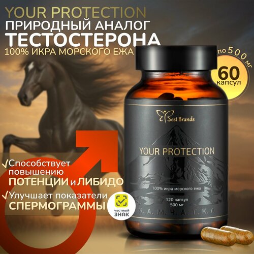 YOUR PROTECTION - 100% икра морского ежа. Единственный в своем роде. (60 капсул) фотография