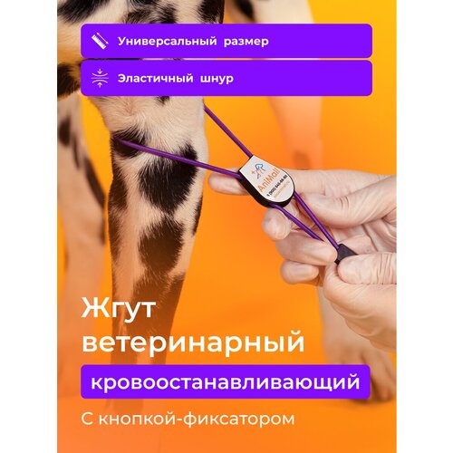 Жгут ветеринарный кровоостанавливающий с фиксатором AniMall / Фиолетовый / Медицинский фотография