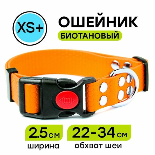 Ошейник из биотана 22-34 см (XS+), 25 мм, Woofy 