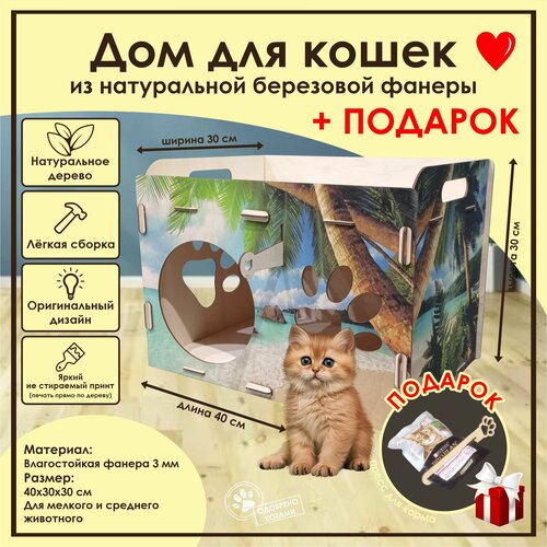 Домик для кошек Мини / Деревянный домик для кота / Лежак для кошек / Лежанка для кошки из фанеры / Домик для животных из дерева фотография