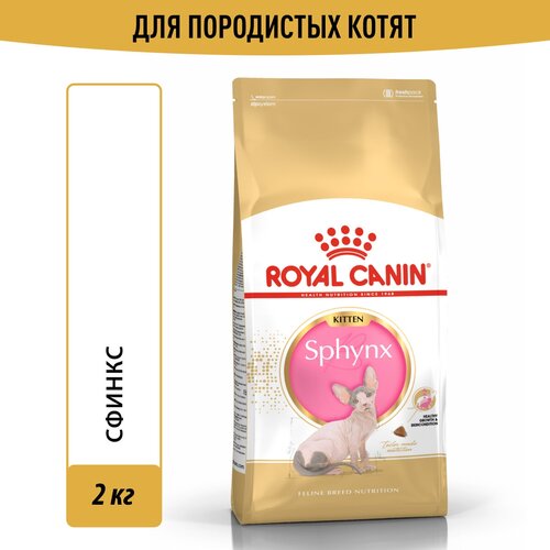 Корм для кошек Royal Canin Sphynx Kitten (Сфинкс Киттен) Корм сухой сбалансированный для котят породы Сфинкс, 2 кг фотография