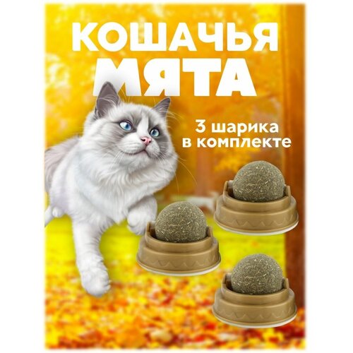 Кошачья мята для кошек, мятный шарик, леденец для кошек фотография