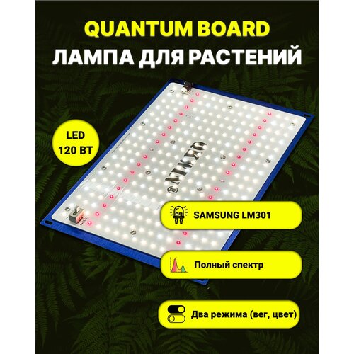 Светильник для растений/ фитолампа полного спектра/ quantum board/ квантум борд/ 120 ватт/ Mean Well/ диоды Samsung LM-301. 5000К, UV, IR фотография