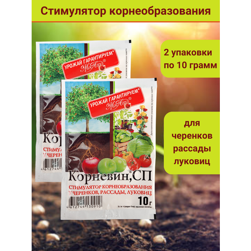 Корневин, стимулятор образования роста корней, в комплекте 2 упаковки по 10 г. фотография