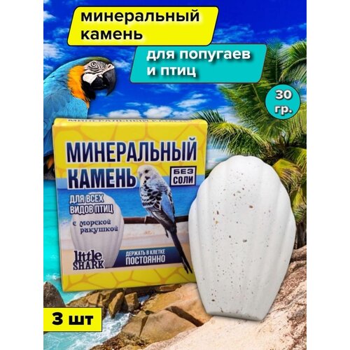 Минеральный камень для попугаем и всех птиц с морской ракушкой без соли 3 шт фотография