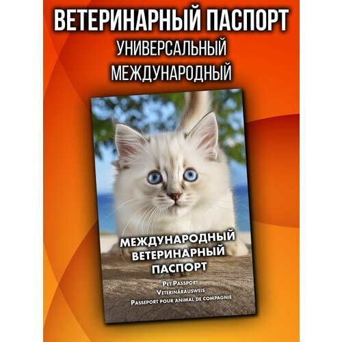 Ветеринарный паспорт для котят невская маскарадная международный фотография