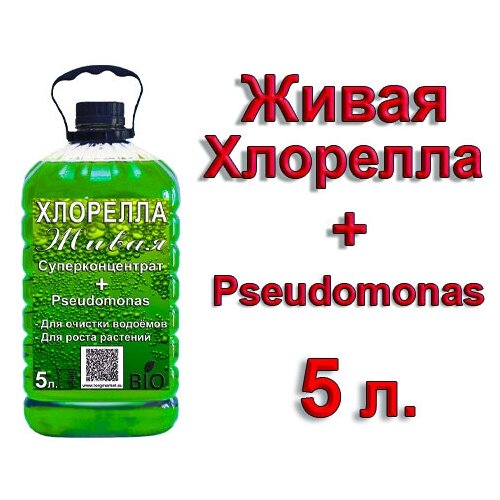 Суперконцентрат Хлореллы + полезные бактерии Pseudomonas, 5 литров фотография