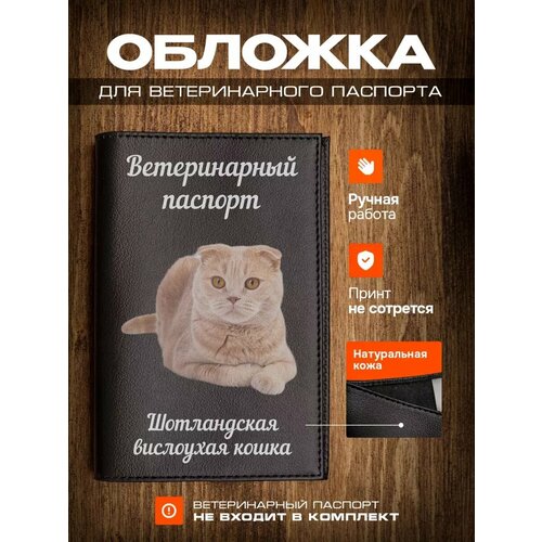 Обложка на ветеринарный паспорт для кошек с принтом Скоттиш-фолд фотография