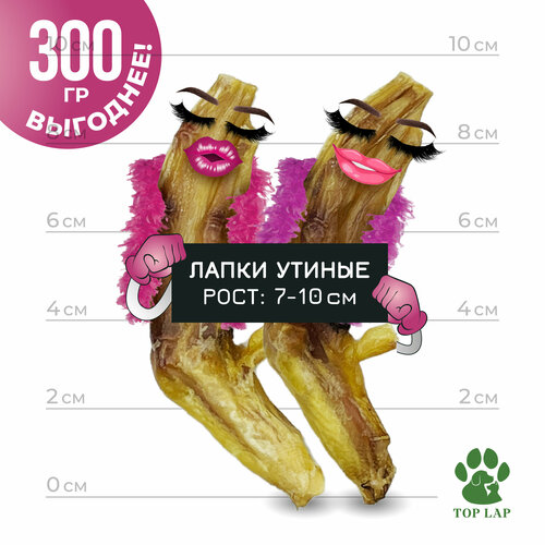 Утиные лапки для собак 300 грамм фотография