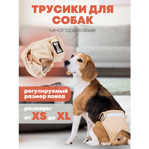 Трусы многоразовые PET&HOME для собак, подгузник для собак, полиэстер, бежевый, размер M фотография