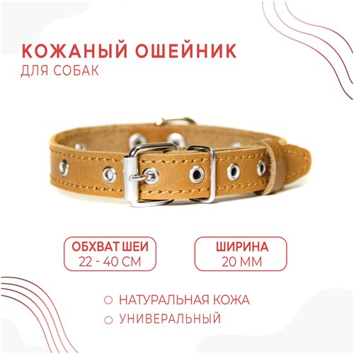 Кожаный ошейник (обхват шеи 22-40 см.) для собак / Песочно-бежевый цвет фотография